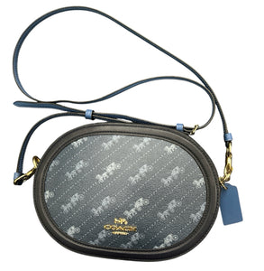 Coach Blue Purse