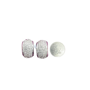 Christian Dior SILVER Earrings